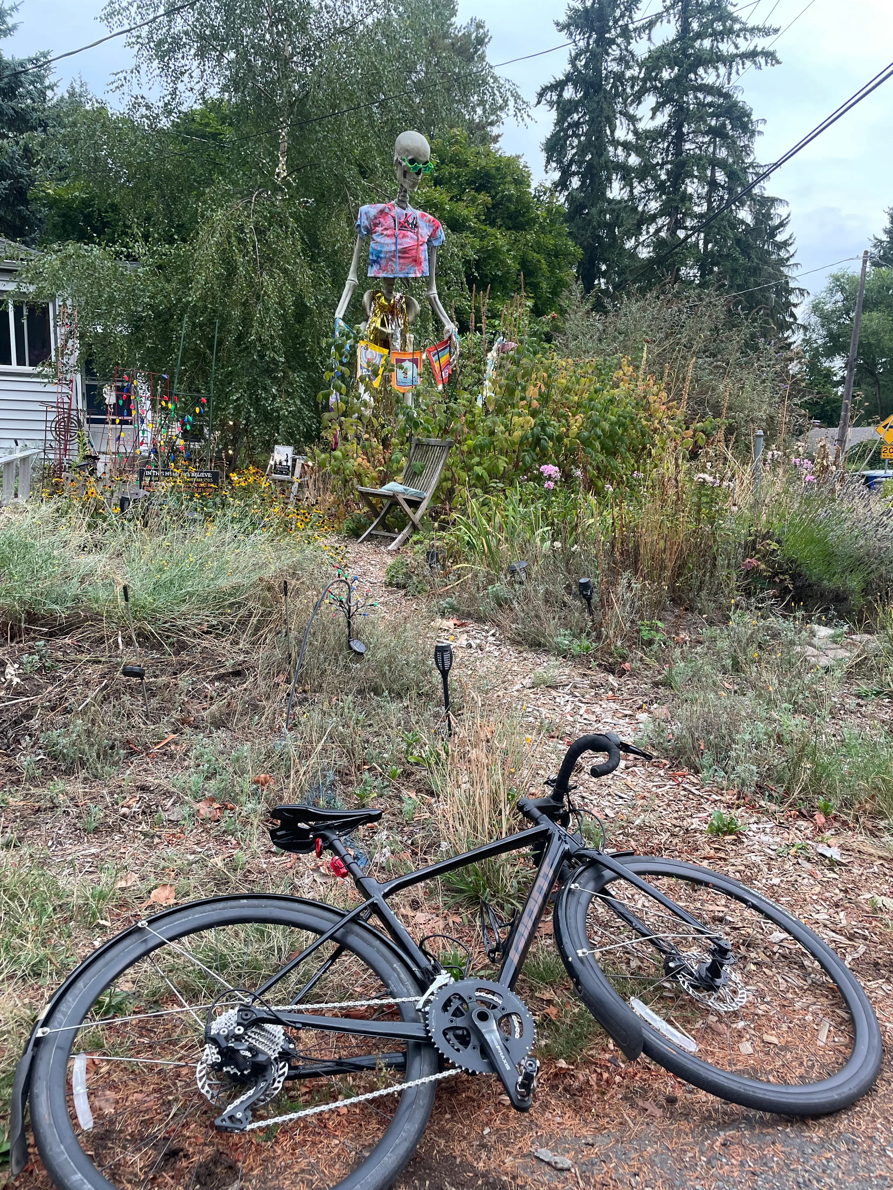https://seattle-biketag.sfo2.cdn.digitaloceanspaces.com/main/seattle-tag-1484--mystery.webp