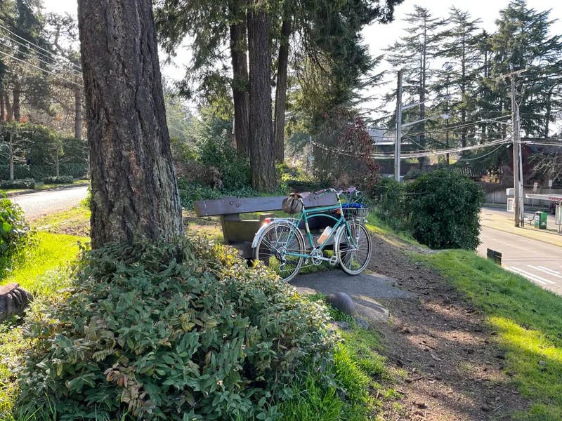 https://seattle-biketag.sfo2.cdn.digitaloceanspaces.com/main/seattle-tag-1518--found_medium.webp