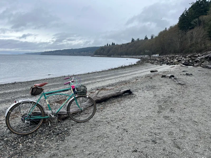 https://seattle-biketag.sfo2.cdn.digitaloceanspaces.com/main/seattle-tag-1534--found_medium.webp