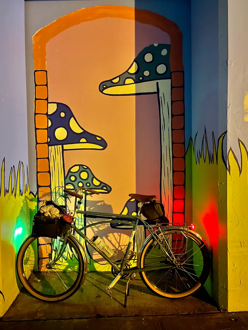 https://seattle-biketag.sfo2.cdn.digitaloceanspaces.com/main/seattle-tag-1578--mystery_medium.webp