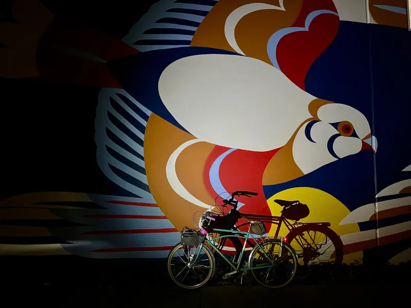 https://seattle-biketag.sfo2.cdn.digitaloceanspaces.com/main/seattle-tag-1594--mystery_medium.webp