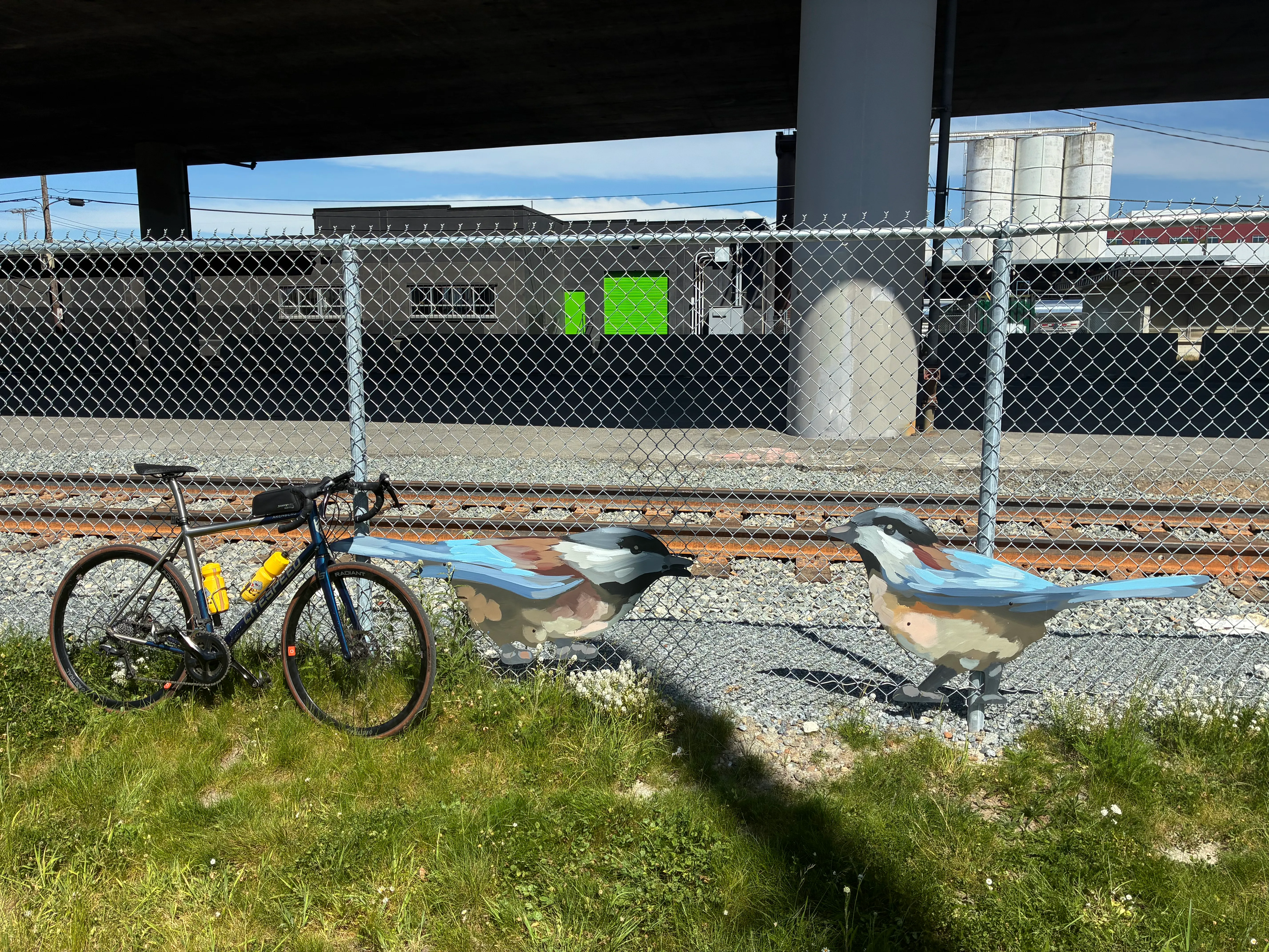 https://seattle-biketag.sfo2.cdn.digitaloceanspaces.com/main/seattle-tag-1598--mystery.webp