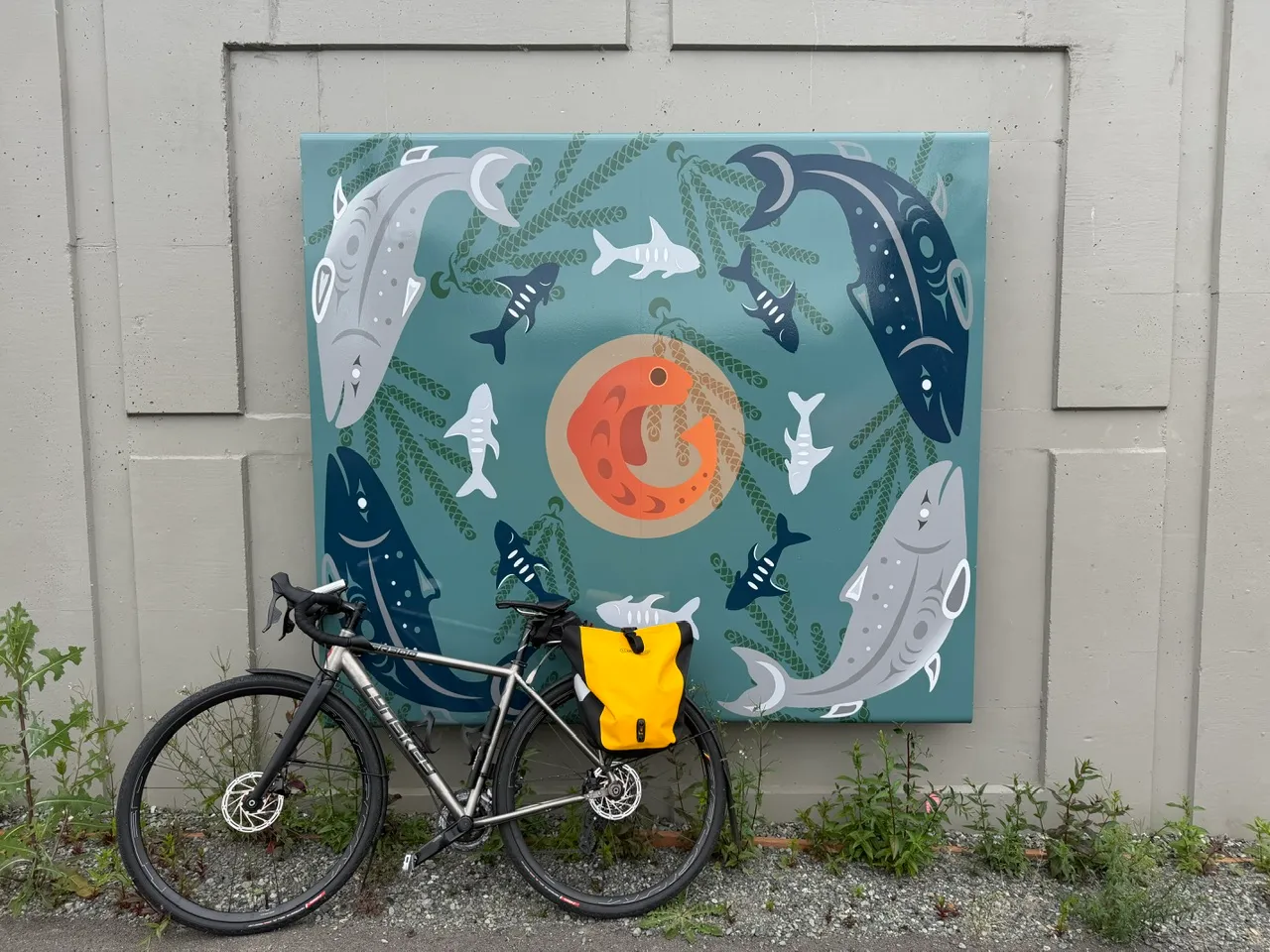 https://seattle-biketag.sfo2.cdn.digitaloceanspaces.com/main/seattle-tag-1603--mystery.webp