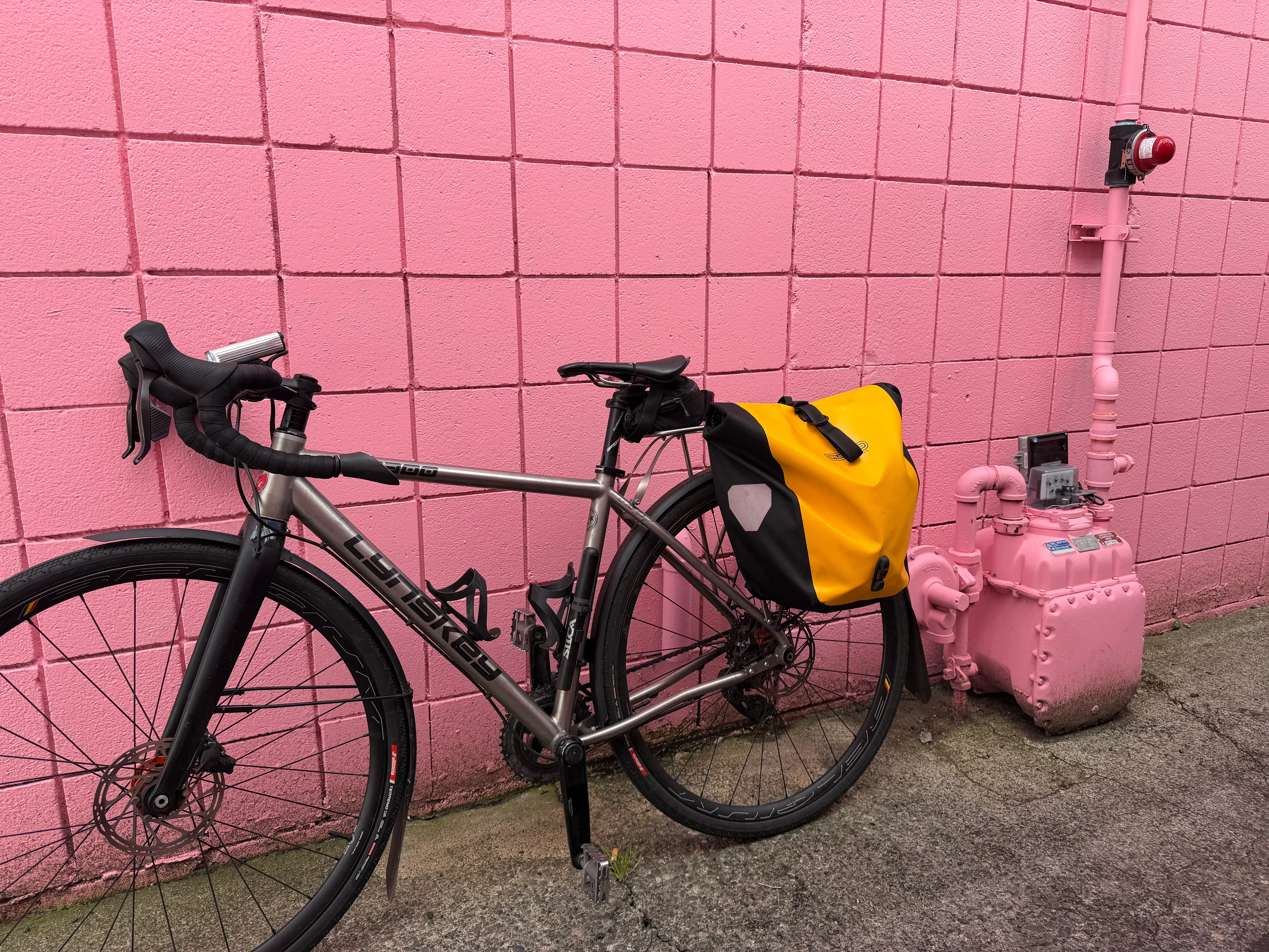 https://seattle-biketag.sfo2.cdn.digitaloceanspaces.com/main/seattle-tag-1607--mystery.webp